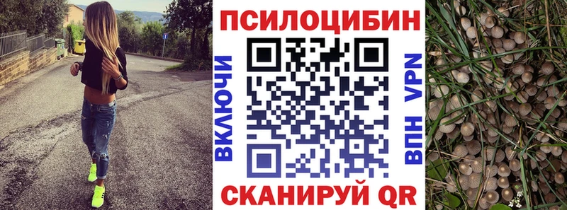 наркота  Биробиджан  Галлюциногенные грибы ЛСД 