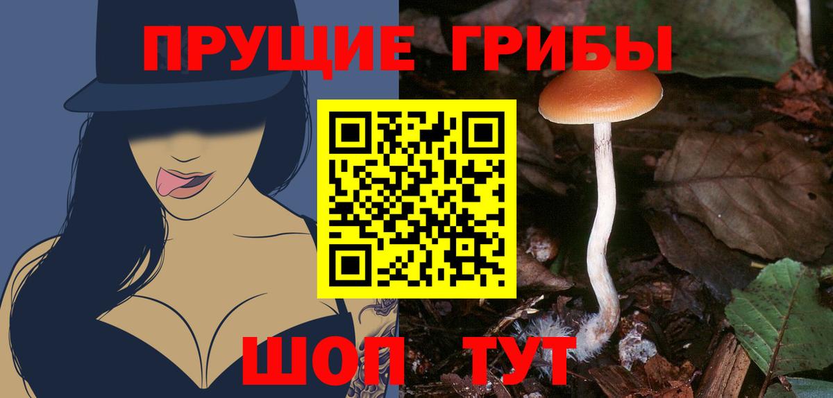 Галлюциногенные грибы Psilocybine cubensis  Псилоцибиновые грибы MAGIC MUSHROOMS  Биробиджан  Вход с VPN 