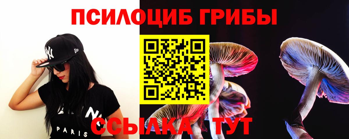 Галлюциногенные грибы Psilocybine cubensis Биробиджан