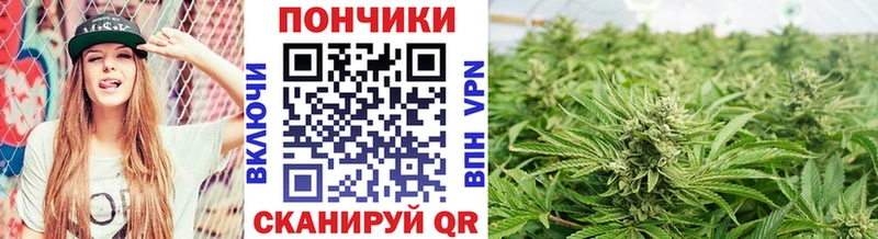 где найти наркотики  Биробиджан  Марихуана THC 21% 
